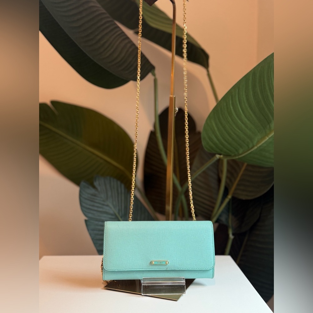 Fendi ‘Continental WOC’